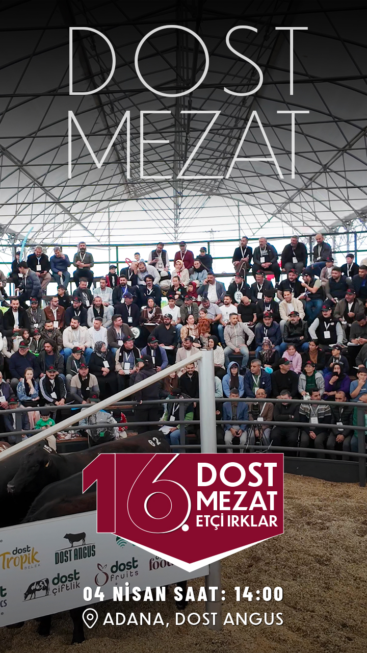 16.Dost Mezat Adana/ Dost Angus