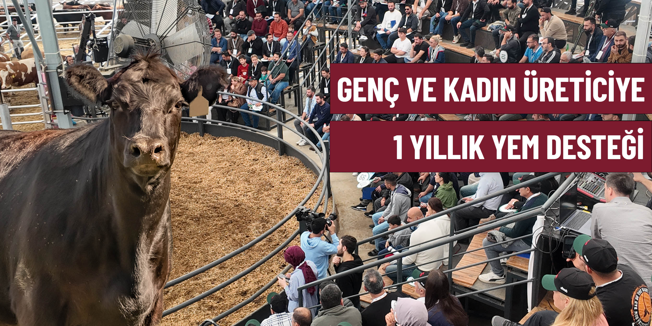 Üretmek Sizden Destek Bizden! Dost Mezat’ta Genç ve Kadın Üreticilere 1 Yıllık Yem Desteği