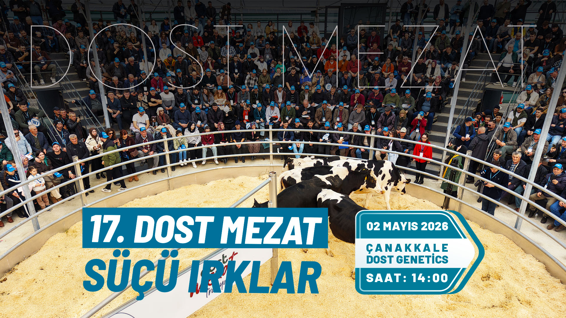  | Dost Mezat