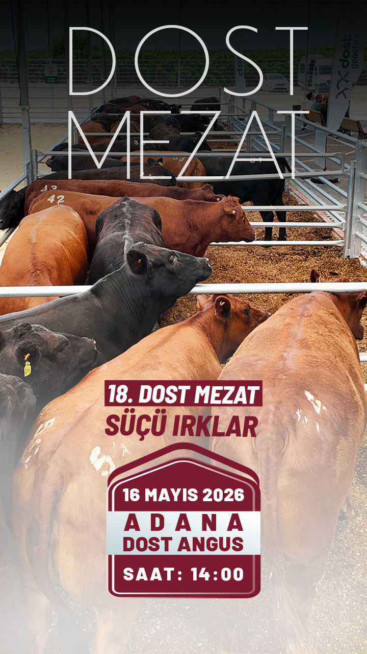  | Dost Mezat